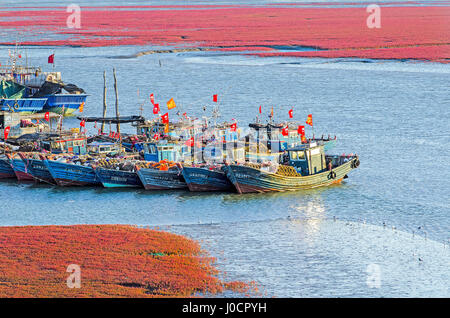 La flotta da pesca a Erjiegou, vicino Panjin, la Cina e il cosiddetto Red Beach, una zona di palude salata dove un impianto noto come erba suaeda prospera. Foto Stock