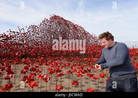 "Poppies: Wave" è una delle due sezioni dell'installazione artistica "Blood Swept Lands and Seas of Red". L'artista dell'opera - Paul Cummins - ha aperto oggi la sezione Wave su Barge Pier a Shoeburyness, Essex, Regno Unito Foto Stock