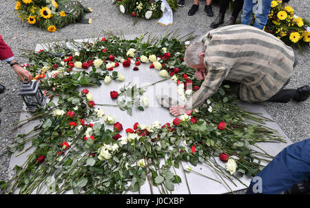 Weimar, Germania. Xi Apr, 2017. Akexander Bychok, precedentemente un detenuto di Buchenwald campo di concentramento, si inginocchia su una targa commemorativa nel corso di un evento che segna il 72º anniversario della liberazione del campo nei pressi di Weimar, Germania, 11 aprile 2017. Più di 200 visitatori ricordata la liberazione del camp con un minuto di silenzio ha cominciato a 15:15, il tempo in cui un distaccamento di truppe degli Stati Uniti sono arrivati al camp nel 1945. Foto: Martin Schutt/dpa-Zentralbild/dpa/Alamy Live News Foto Stock