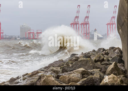 New Brighton, Wirral, Regno Unito. Xii Apr, 2017. Basse temperature e venti forti hit Merseyside. È prevista pioggia per il weekend di Pasqua. Credito: Paolo Warburton/Alamy Live News Foto Stock