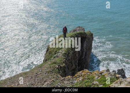 Ponte Verde del Galles è un arco naturale formata da calcare carbonifero e è situato entro il Pembrokeshire Coast National Park in Galles Foto Stock