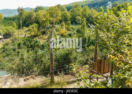 Recare il rifugio nel villaggio di Kuterevo, Croazia Foto Stock