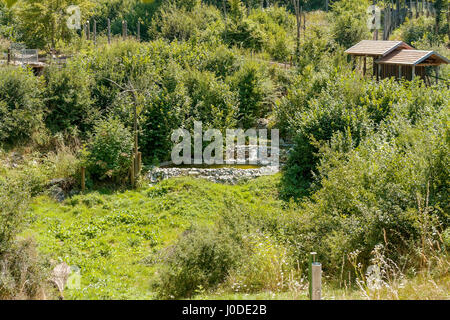 Recare il rifugio nel villaggio di Kuterevo, Croazia Foto Stock