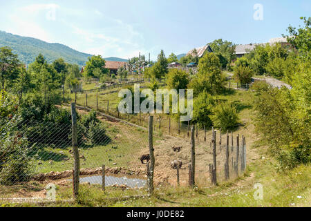 Recare il rifugio nel villaggio di Kuterevo, Croazia Foto Stock