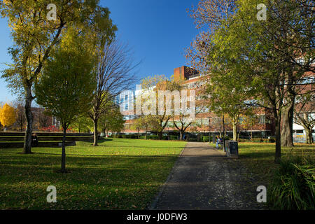 Manchester Metropolitan University (inc Business School, Law School e Kenneth libreria verde) da tutti i Santi Park, Manchester, gtr manchester, Regno Unito Foto Stock