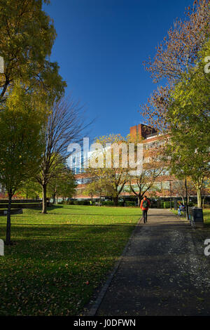 Manchester Metropolitan University (inc Business School, Law School e Kenneth libreria verde) da tutti i Santi Park, Manchester, gtr manchester, Regno Unito Foto Stock