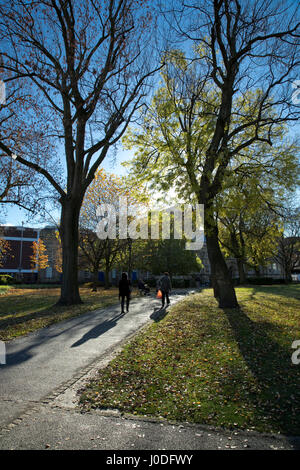 Manchester Metropolitan University (inc Business School, Law School e Kenneth libreria verde) da tutti i Santi Park, Manchester, gtr manchester, Regno Unito Foto Stock