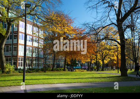 Manchester Metropolitan University (inc Business School, Law School e Kenneth libreria verde) da tutti i Santi Park, Manchester, gtr manchester, Regno Unito Foto Stock