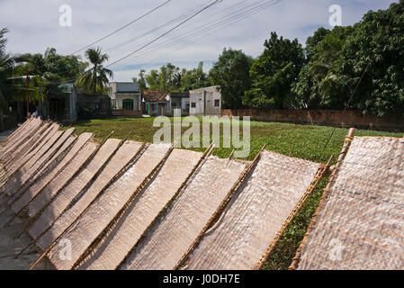 Vista orizzontale della tradizionale bianco riso tagliatelle in forma di foglio essiccazione al sole in Vietnam. Foto Stock