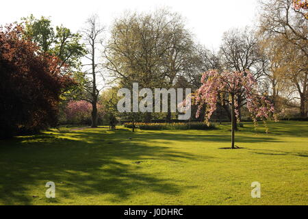 Regents Park in HDR Foto Stock