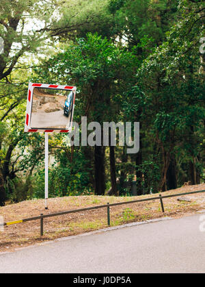 Specchio sulla strada. Specchio di sicurezza Foto Stock