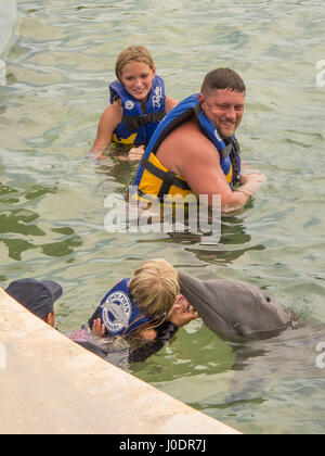 I delfini in cattività eseguire per i passeggeri di crociera a costa maya Resort, Messico. Foto Stock
