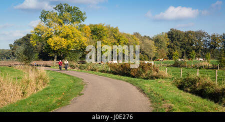 Senior l uomo e la donna che esercitano con le biciclette su un countryroad Foto Stock