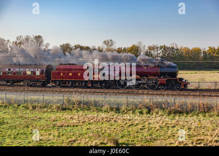 LMS Princess classe 8P 4-6-0 n. 46201 Principessa Elisabetta tira la Royal Scot alla giunzione Winwick Ott 15 2011 Foto Stock