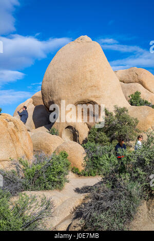 Le persone accanto al cranio Rock. Joshua Tree National Park, California, Stati Uniti d'America. Foto Stock