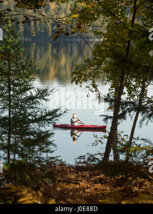 Mattina tranquilla racchetta su di un lago calmo. Un uomo e il suo volto è nascosto dalla sua racchetta, in un piccolo rosso kayak pagaie vicino ai boschi sulla riva di un lago vetroso. Foto Stock