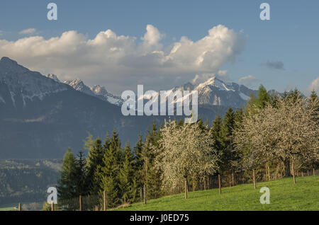 La Zillertal ("Valle Ziller') a valle in Tirolo, Austria drenato dal fiume Ziller la più ampia valle a sud della valle Inn più visitati dai turisti Foto Stock
