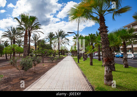 COSTA ADEJE, Tenerife, SPAGNA-CIRCA 2016, Jan: ampia scalinata conduce all'oceano costa da TF-1 autostrada nei dintorni della città. Costa Adeje è un piccolo Foto Stock