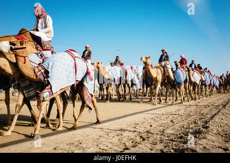 Corsa di cammelli fantini cavalcare i loro cammelli al camel racet cremagliera ad Al-Shahaniya in Qatar. Foto Stock