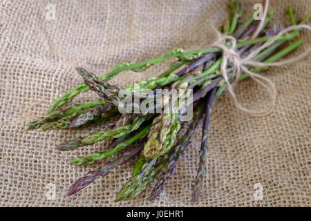 Mazzetto di materie di asparagi selvatici Foto Stock