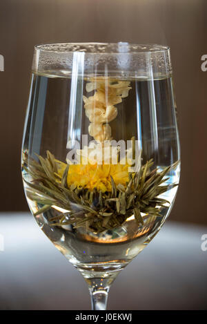 Un vino di vetro riempita con acqua calda tè verde, giglio e gelsomino chiamato , ' Lily Fairy'. La colazione è servita presso la nave Inn in maniero villaggio su Herm isola in Foto Stock