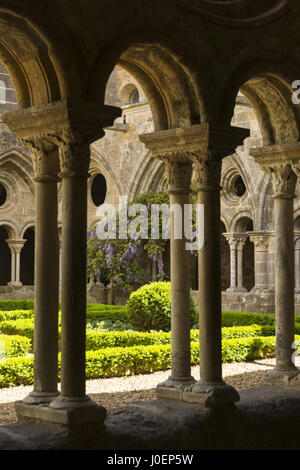 Francia, Narbonne, Abbazia di Fontfroide, chiostro Foto Stock