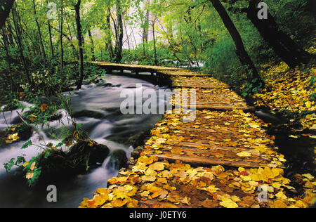 Passerella in legno in autunno, Parco Nazionale dei Laghi di Plitvice in Croazia Foto Stock