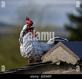 Gallo in ceramica sul tetto di casa. Pennine Way, Horton in Ribblesdale, Craven, North Yorkshire, Inghilterra, Regno Unito, Europa. Foto Stock