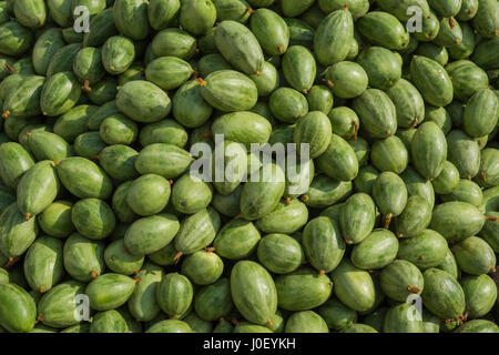 Gourd appuntita, Varanasi, Uttar Pradesh, India, Asia Foto Stock