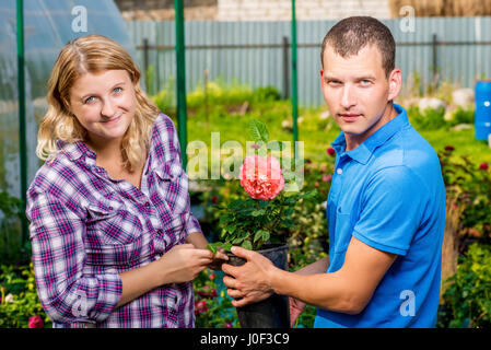 Coppia giovane seleziona le piantine di fiori in vivaio Foto Stock