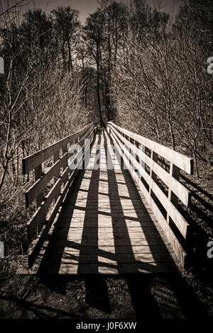 Immagine verticale in scala di grigi di un percorso in legno al centro di una foresta Foto Stock