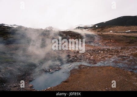 Vapore sorge dalle sorgenti calde geotermali di Reykjadalur, un famoso sentiero escursionistico nelle montagne vicino a Reykjavik, Islanda Foto Stock