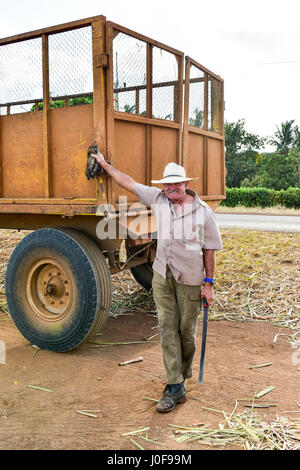 Guayabales, Cuba - 13 GEN 2017: uomo cubano a colpi di machete a lavorare i campi di zucchero di canna in Guayabales, Cuba. Foto Stock