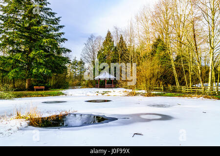 Parzialmente Congelato stagno in Campbell Parco Valle nelle township su Langley in British Columbia, Canada su di una bella giornata invernale Foto Stock