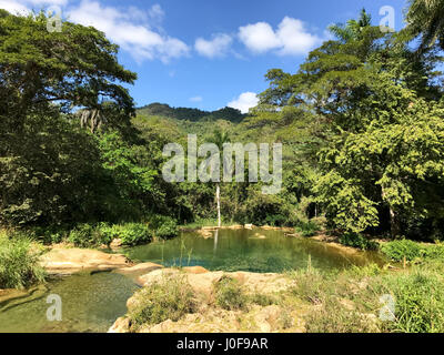 El Nicho cascate in Cuba. El Nicho si trova all'interno della Gran Parque Natural Topes de Collantes, un parco boscoso che si estende attraverso la Sierra Esc Foto Stock