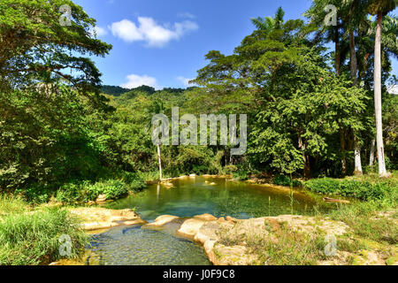 El Nicho cascate in Cuba. El Nicho si trova all'interno della Gran Parque Natural Topes de Collantes, un parco boscoso che si estende attraverso la Sierra Esc Foto Stock