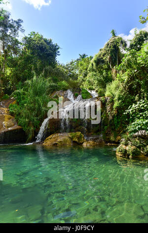 El Nicho cascate in Cuba. El Nicho si trova all'interno della Gran Parque Natural Topes de Collantes, un parco boscoso che si estende attraverso la Sierra Esc Foto Stock