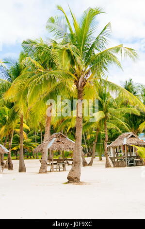 Nipa capanne sulla bianca spiaggia di sabbia corallina circondato da palme Foto Stock