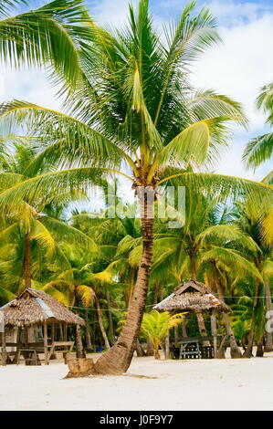 Nipa capanne sulla bianca spiaggia di sabbia corallina circondato da palme Foto Stock