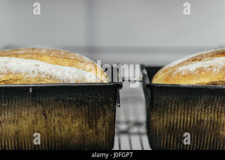 Due appena sfornato pagnotte di pane nel filone padelle Foto Stock