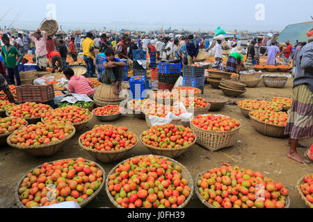 Pomodori, dominando il 'Baishmouja Haat' sulle rive del fiume Meghna al di Brahmanbaria Nabinagar Upazila. Bangladesh Foto Stock