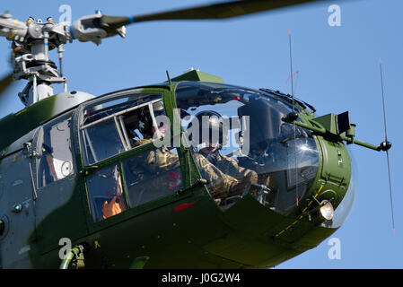 Westland Gazelle AH1 XZ320 Esercito Britannico elicottero visto qui a la gazzella cinquantesimo anniversario fly-in presso la Middle Wallop. Il tipo primo volò il 7 aprile 1967 Foto Stock