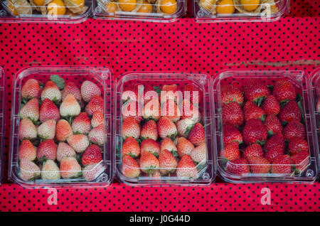 Fragole fresche in scatola di plastica per la vendita a persone e di viaggiatori su strada a Doi Pui villaggio tribale in Chiang Mai, Thailandia. Foto Stock