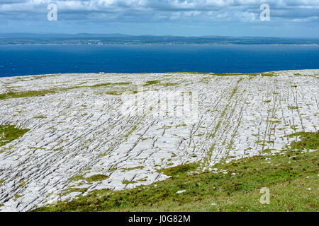 Pavimentazione in calcare su Dobhach Bhrainin, Gleninagh montagna, Burren, County Clare, Irlanda. Galway Bay in distanza. Foto Stock