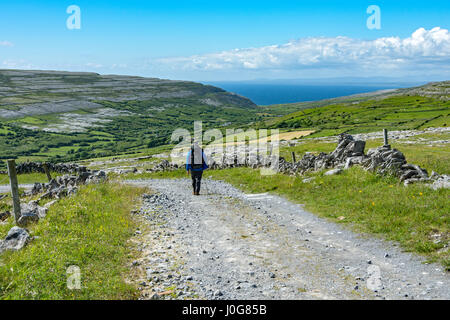 Un walker su una via voce giù nella valle Caher, Burren, County Clare, Irlanda Foto Stock