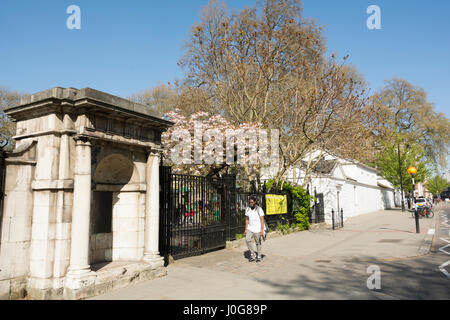 Coram i campi su Guilford Street, Bloomsbury, London, Regno Unito Foto Stock