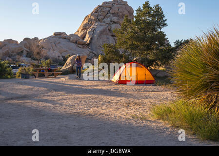 Camping tenda al campeggio area. Joshua Tree National Park, California, Stati Uniti d'America. Foto Stock