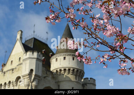 Porte de Hal o Halle cancello in Bruxelles, Belgio dietro ad un ramo di un albero con fiori di colore rosa Foto Stock