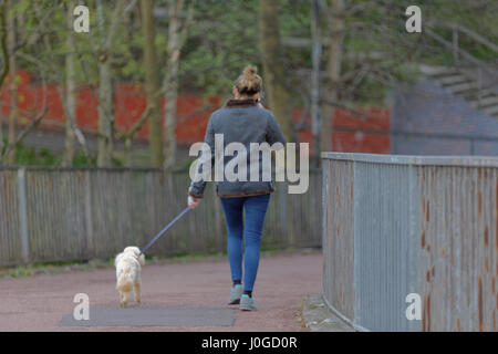 Giovane donna su pfone mobile mentre si cammina cane barboncino camminare da solo nella città Foto Stock