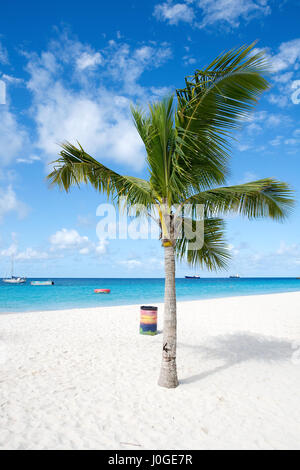 Bridgetown, Barbados - isola tropicale - Mar dei Caraibi - spiaggia Brownes - Carlisle Bay Foto Stock